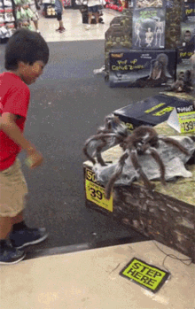 a boy standing next to a giant spider in a store with a sign on the floor that says step here