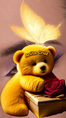 a teddy bear with anita cruz written on its face