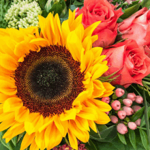 a close up of a sunflower surrounded by roses