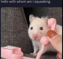 a hamster is talking on a pink telephone with a person .