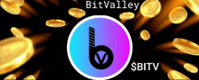 a bunch of gold coins are falling in the air with the words bitvalley $bitv