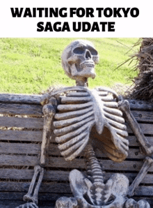 a skeleton is sitting on a wooden bench in the grass .