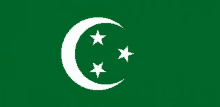 a green flag with a crescent moon and three stars