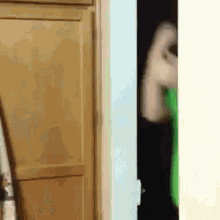 a person is standing in a doorway with a green bag in front of them