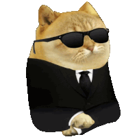 a doge wearing sunglasses and a black suit