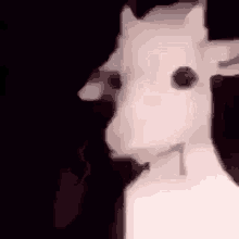 a close up of a white goat 's face in a dark room