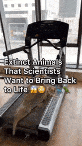 a treadmill with the words extinct animals that scientists want to bring back to life written on it