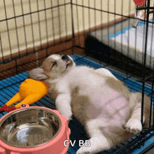 a puppy is sleeping in a cage next to a bowl and a toy