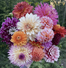 a bunch of different colored flowers are being held in a hand