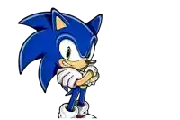 a cartoon of sonic the hedgehog with his arms crossed on a white background