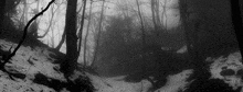 a black and white photo of a foggy forest with snow on the ground