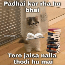 a cat wearing glasses is holding an open book next to a stack of books ..