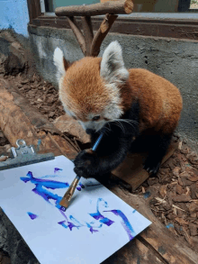 a red panda painting a picture with blue and purple paint