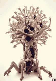 a group of naked people are stacked on top of each other with the word baf at the bottom