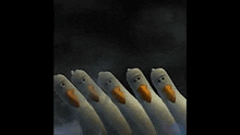 a group of penguins are standing next to each other in a dark room .