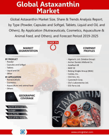 a poster for the global astaxanthin market shows the market segmentation and the company profiles