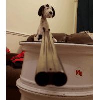 a stuffed dalmatian dog is sitting on top of a metal object with the letters mg on it