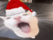 a close up of a cat wearing a santa hat .