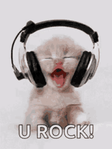 a kitten wearing headphones is yawning and says `` u rock ! ''