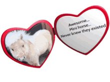 a heart shaped mirror with a picture of a pony on it