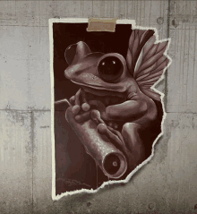 a frog with wings is taped to a concrete wall