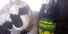 a black and white stuffed animal sitting next to a jar of jarritos