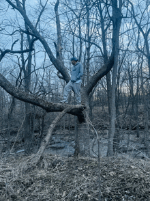 a person standing on a tree branch in the woods with a hoodie that says adidas