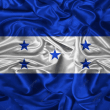 a blue and white flag with four blue stars