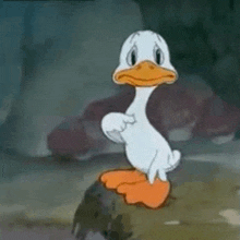 a cartoon duck with orange feet is standing on a rock and pointing at the camera .