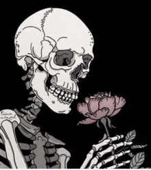 a drawing of a skeleton holding a pink rose in its hand .