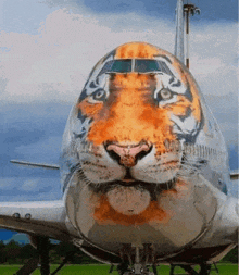 an airplane with a tiger face painted on the nose