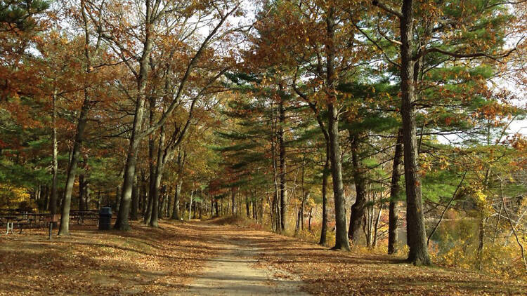 Blue Hills Reservation