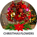 Christmas Flowers