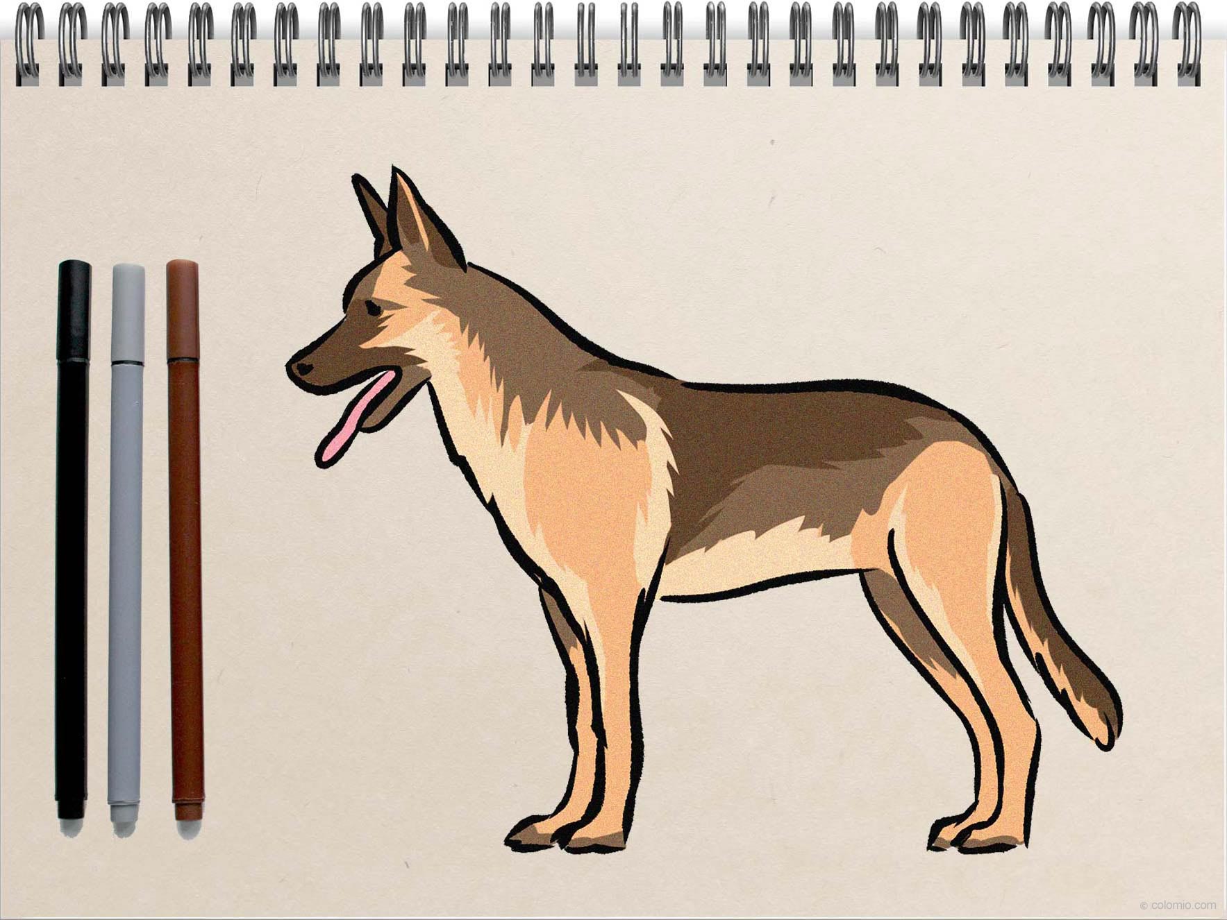 Dog drawing - Step by Step