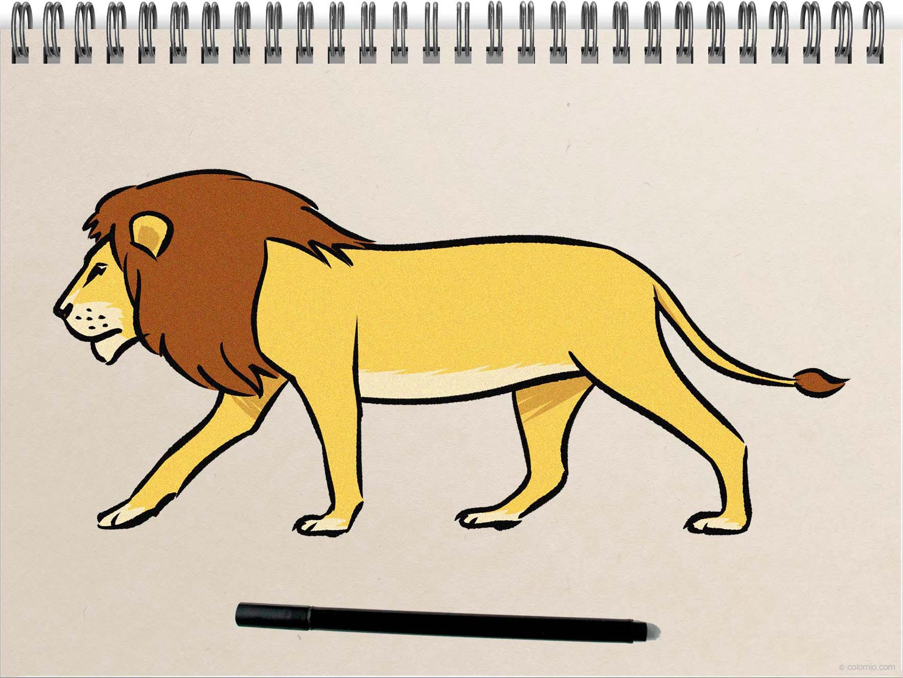 How to Draw a Lion - Step by Step