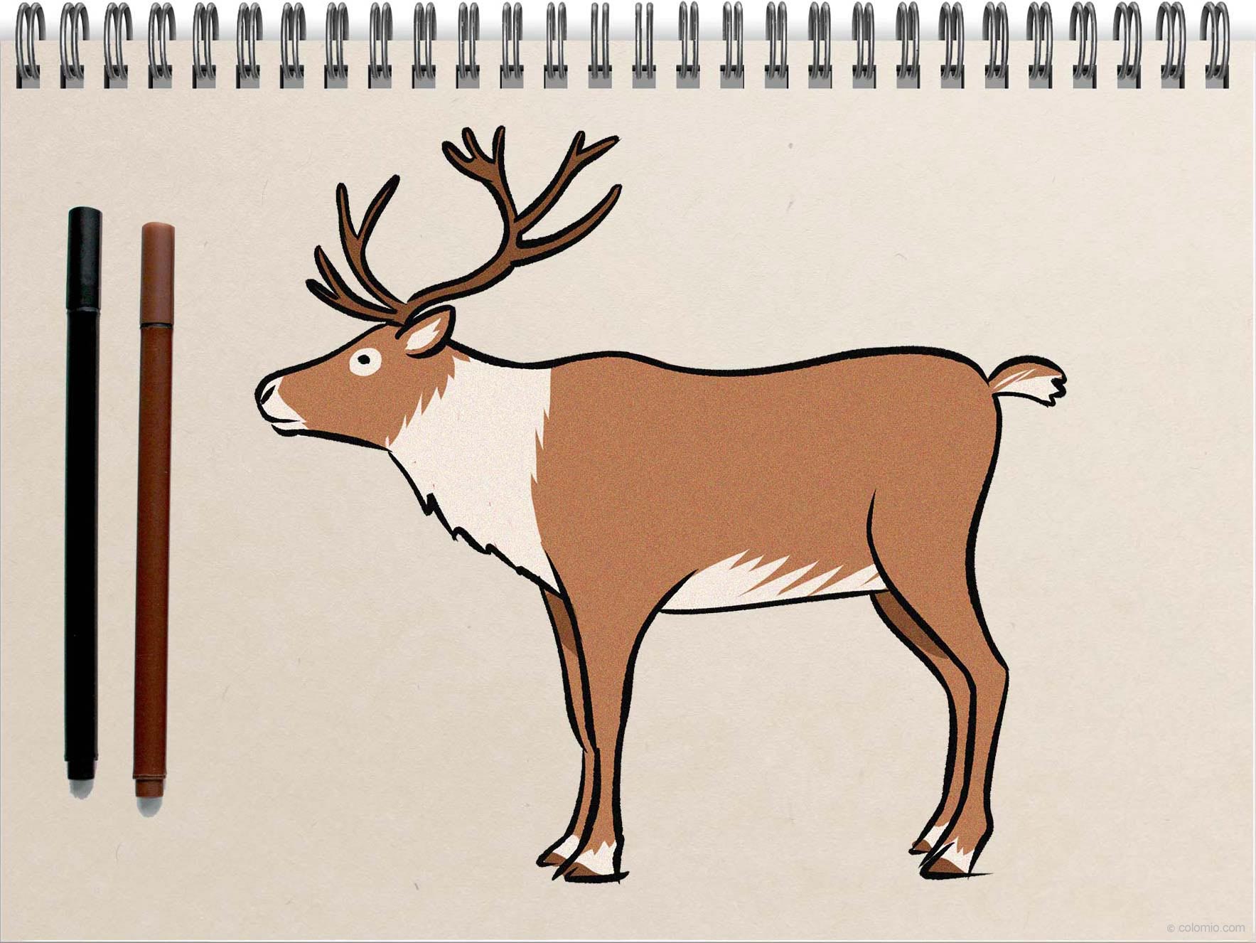 Reindeer drawing - Step by Step