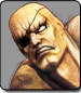 Sagat