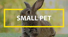 Small Animal Products