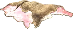 Sheep Pelt