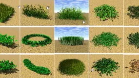 Garden Landscape Grass 3d model