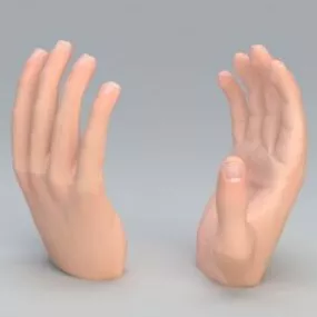 Human Left Hand 3d model