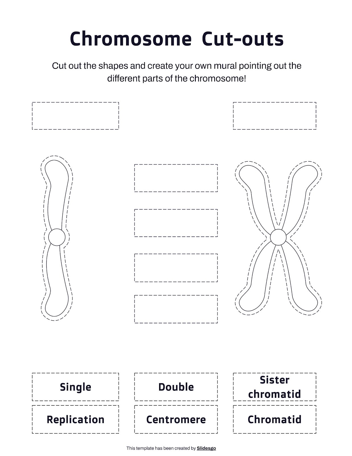 Chromosome  Cut-outs presentation template 