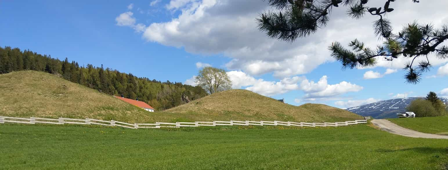 Foto av gravhauger fra jernalderen