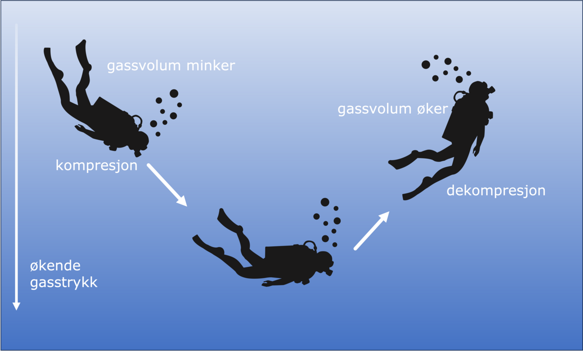 Kompresjon og dekompresjon under dykking