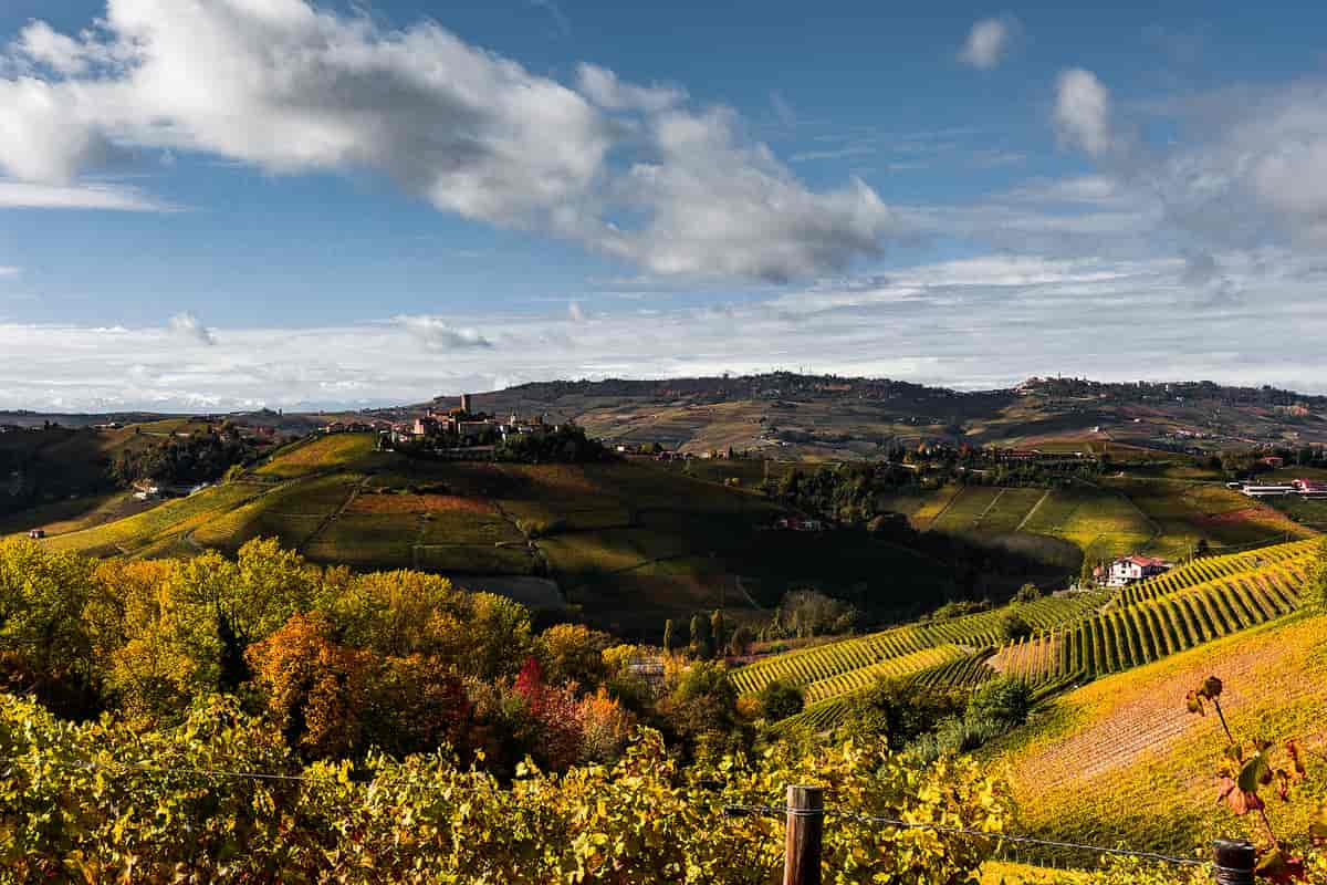 Langhe