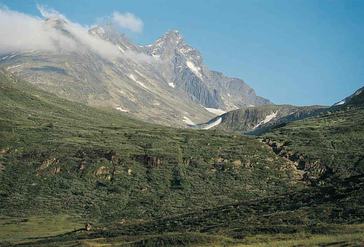 Jotunheimen