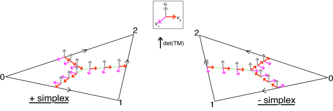 figure 22