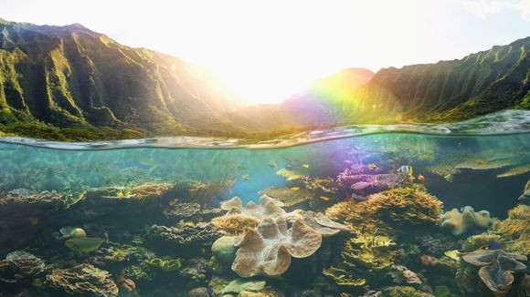 Tropical reefs under rural cliffs