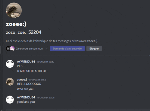 a screenshot of a discord conversation with zoeee