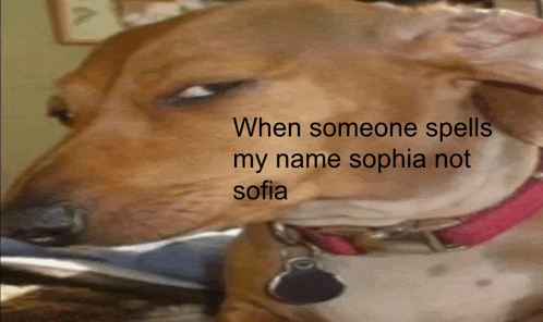 a dog with the words when someone spells my name sophia not sofia written on it